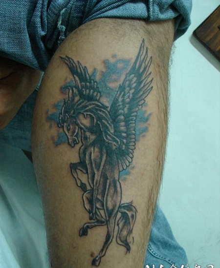 小腿上展开翅膀的天马纹身图案