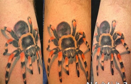 小腿上的毛腿蜘蛛纹身图案