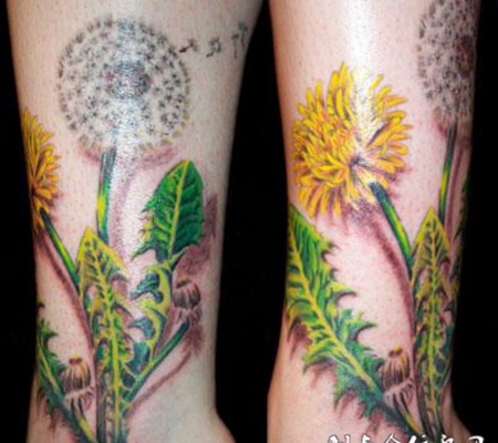 小臂上的蒲公英纹身图案
