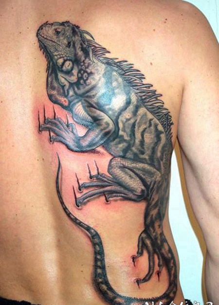 后背上的黑灰变色龙纹身图案