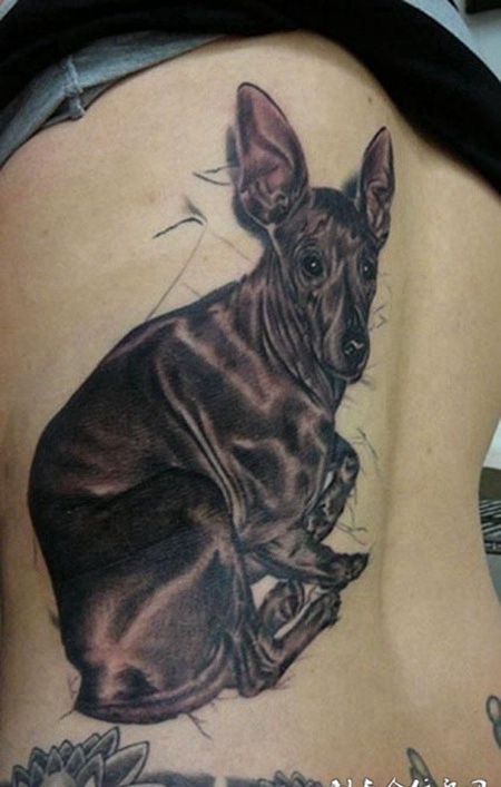 后腰上的袋鼠纹身图案