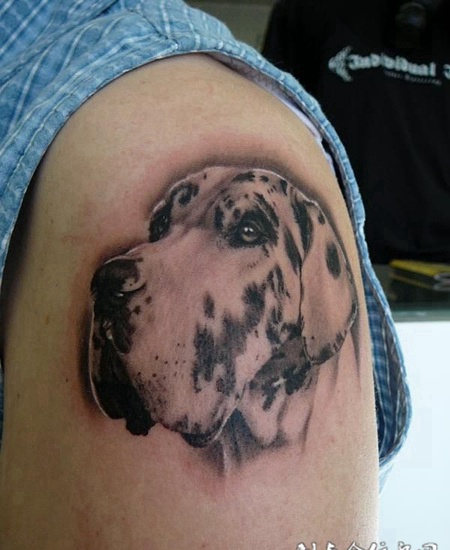 大臂上的沙皮狗纹身图案