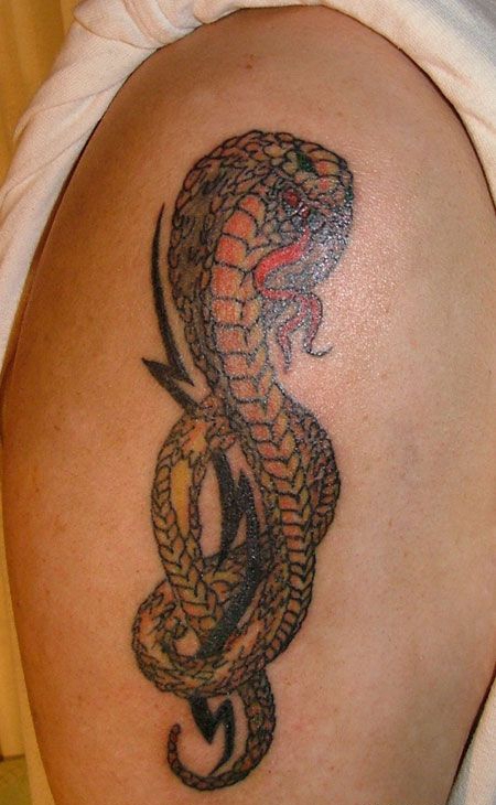 大臂眼镜蛇纹身图案