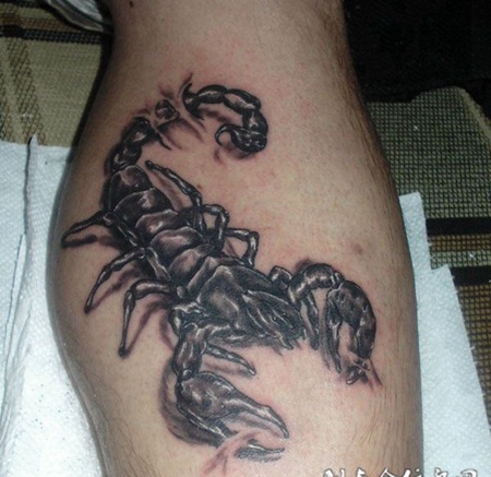小腿上的蝎子的纹身图案