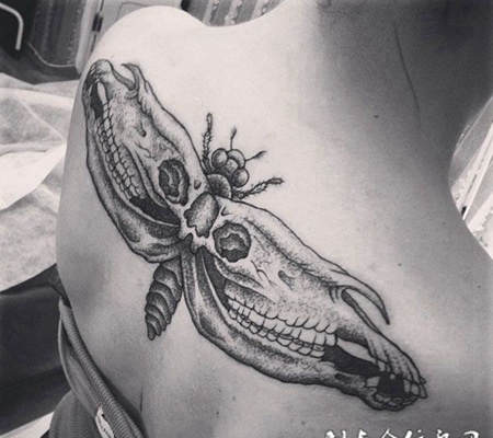 后背上的飞蛾纹身图案