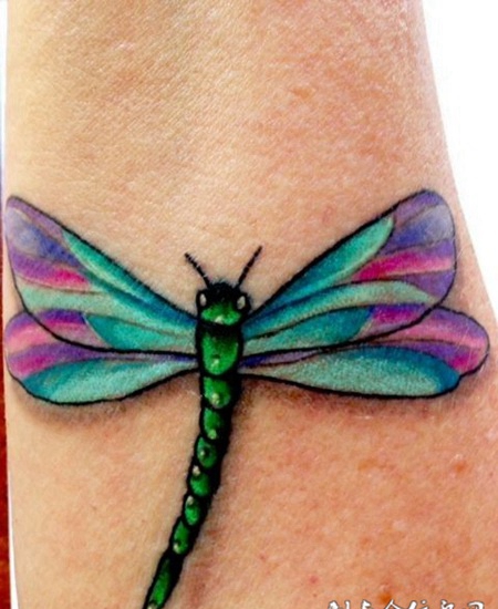 胳膊上的蜻蜓纹身图案