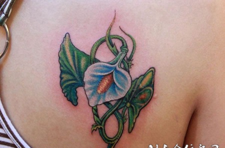 后背上的马蹄莲纹身图案