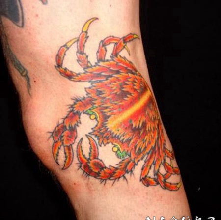 小臂上的螃蟹纹身图案