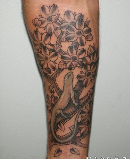 小臂上树枝上的变色龙纹身图案