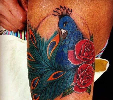 大腿孔雀纹身图案