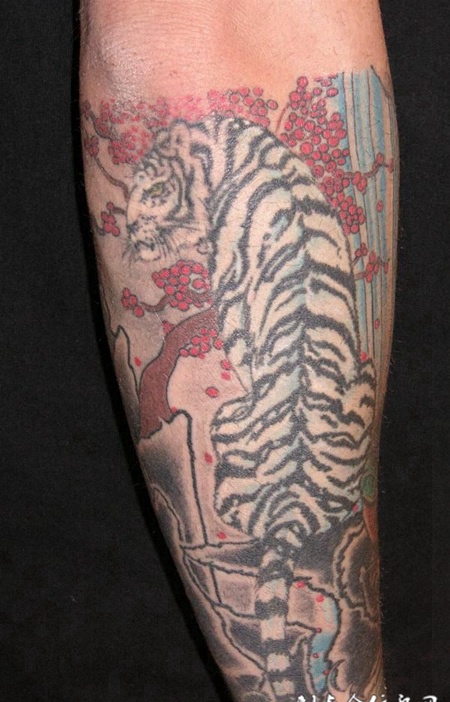 小臂上的白虎纹身图案