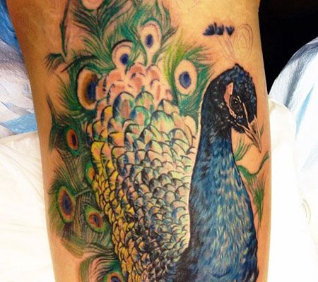 大臂孔雀开屏纹身图案