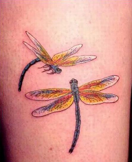 小腿黄翅膀蜻蜓纹身图案