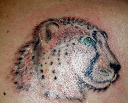 背部点刺豹头纹身图案