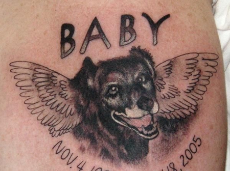 大臂上长翅膀的小狗纹身图案