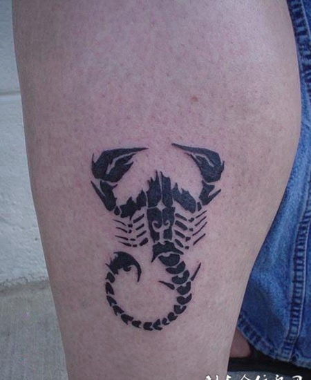 小腿上的蝎子纹身图案