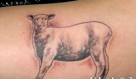 后腰上的绵羊纹身图案