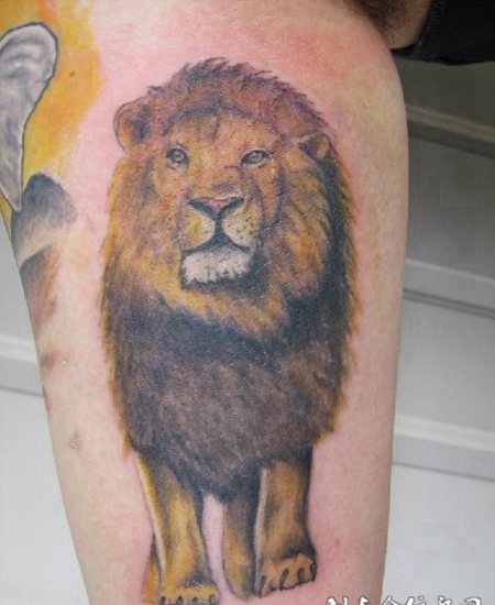 小腿上的金色狮子纹身图案