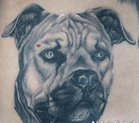 后背上的沙皮狗纹身图案