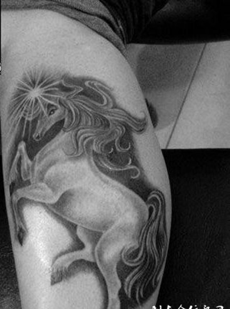 小腿上的一匹天马纹身图案