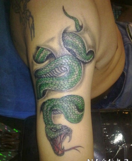 大臂上的绿色蛇的纹身图案