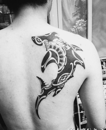 后背上的海豚图腾纹身图案