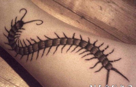 小腿上的蜈蚣纹身图案