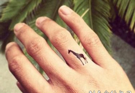 手指上的长颈鹿纹身图案