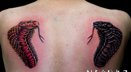 后背上的两条眼镜蛇纹身图案