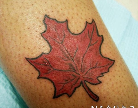 小臂上的枫叶纹身图案