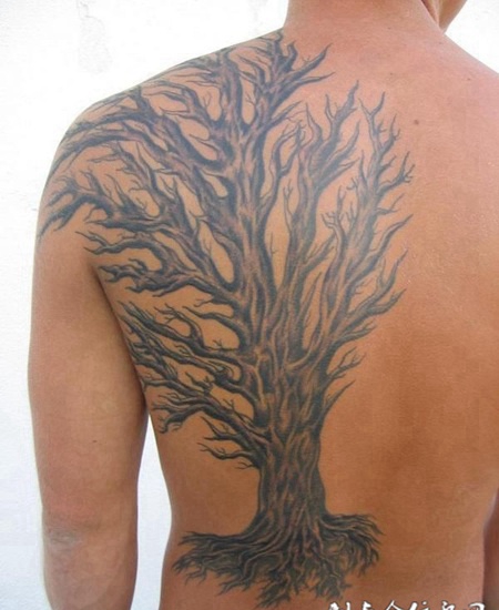 后背上的枯树纹身图案