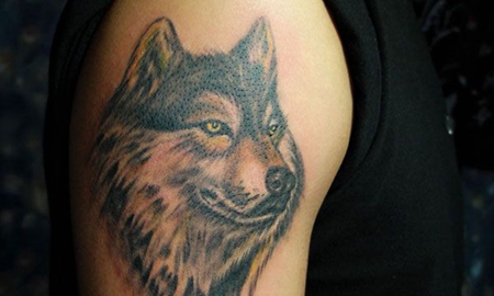 大臂忧郁的狼头纹身图案