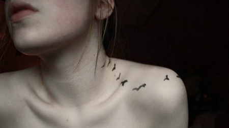 美女锁骨性感海鸥纹身图片