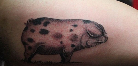 大臂花斑小猪纹身图案
