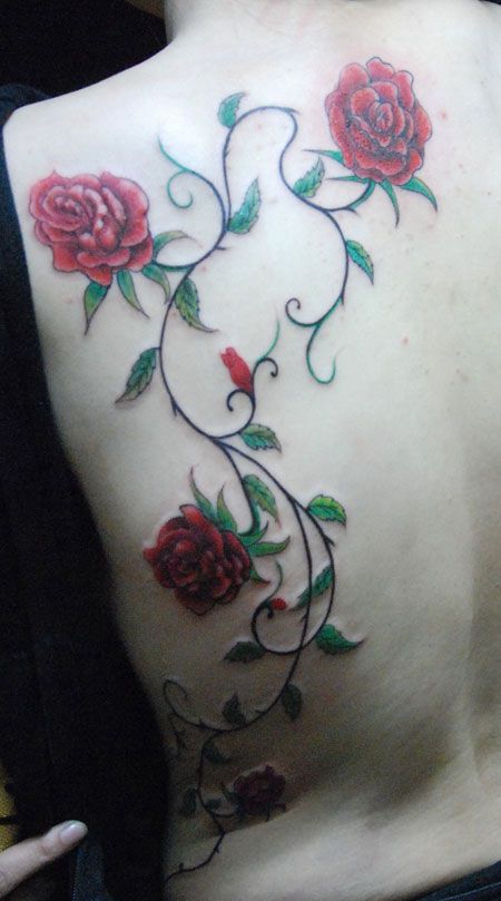 背部彩色玫瑰藤蔓纹身图片