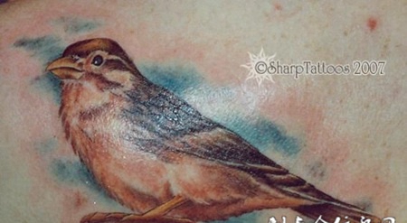 后背上的小鸟纹身图案