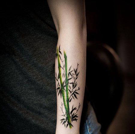 手臂绿色竹子纹身图案
