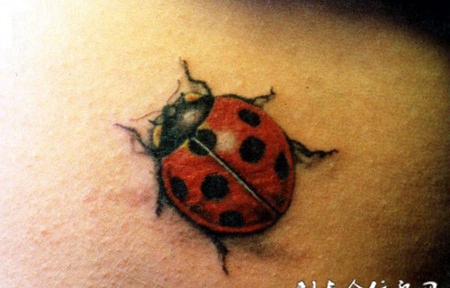 后背上的七星瓢虫纹身图案