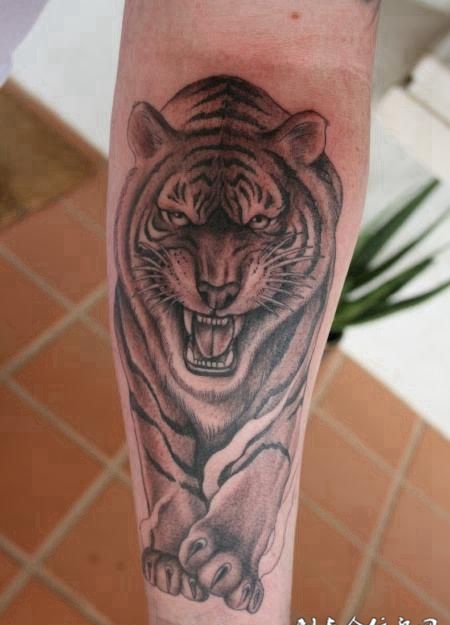 小臂上的老虎纹身图案