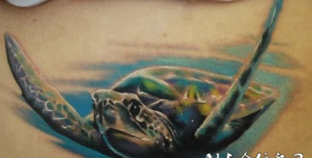 小腹上的海龟纹身图案