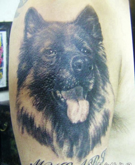 大臂上的狗纹身图案