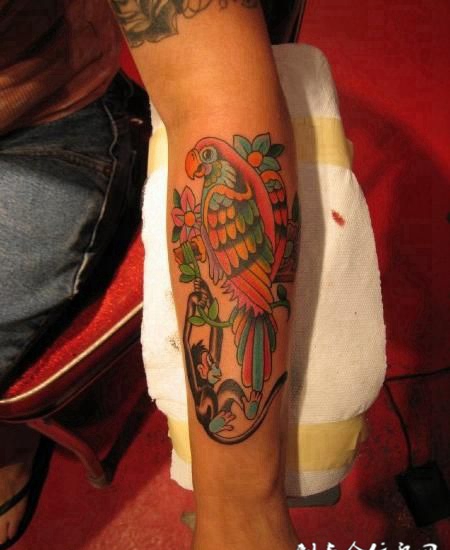 小臂上的鹦鹉纹身图案