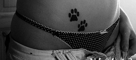 小腹上的猫的脚印纹身图案