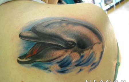 肩胛骨上的海豚纹身图案