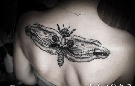后背上的枯骨飞蛾纹身图案