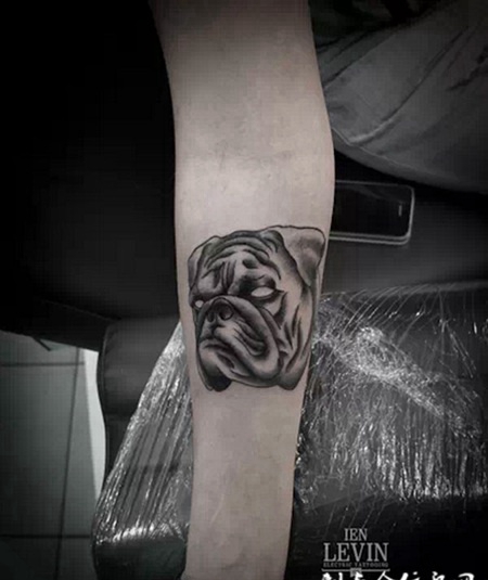 小臂上的沙皮狗纹身图案