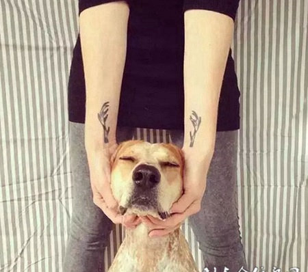 胳膊上的鹿角纹身图案