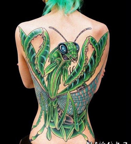 满背的绿色螳螂纹身图案