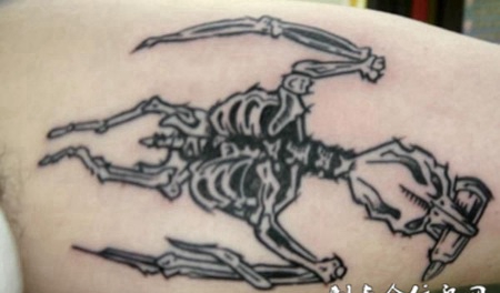 大臂内侧的小鸟骷髅骨架纹身图案