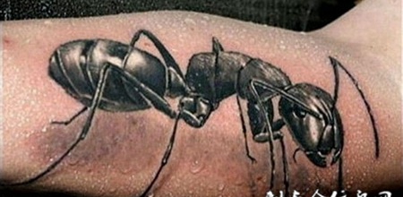 小臂上的蚂蚁纹身图案